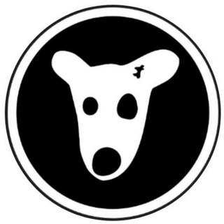 Telegram profile photo for ایردراپ | دیلی کامبو | Airdrop