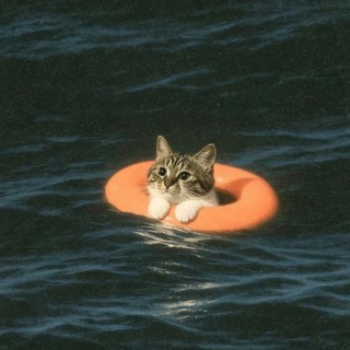 Telegram profile photo for Maybe In Another Life..