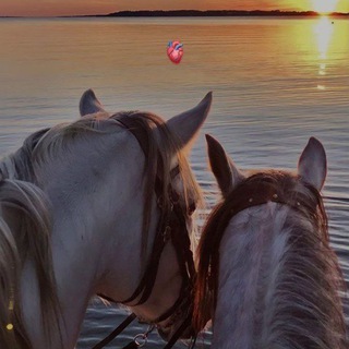 Telegram profile photo for π MΙͺΚα΄α΄α΄Κα΄ Mα΄α΄α΄Ι΄α΄s π