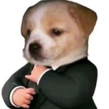 Telegram profile photo for тгк misha