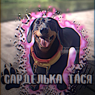Telegram profile photo for САРДЕЛЬКА ТАСЯ