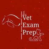 Telegram profile photo for Vet exam prep