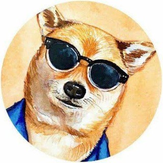 Telegram group profile photo for 爆炸新闻💥