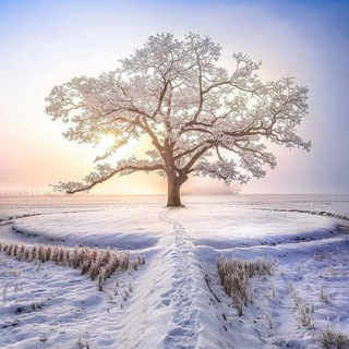 Telegram group profile photo for ПРОБУЖДЕНИЕ ИСТОЧНИКА