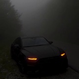 Telegram profile photo for хата яко🦍