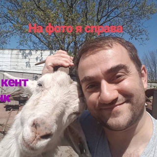 Telegram profile photo for Человек-Канцтовар
