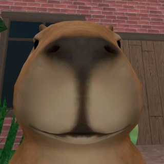 Telegram profile photo for VARCAST