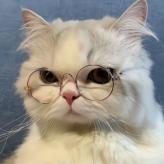 Telegram profile photo for - فِ تسـ90ـعين داهييةه🌞.
