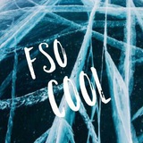Telegram profile photo for Fso.forum.cool