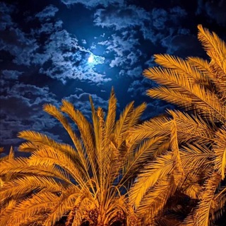 Telegram profile photo for شُـعـور .