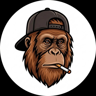 Telegram profile photo for DB FINDER || БЫСТРЫЙ ПОИСК И ЗАГРУЗКА EMAIL БАЗЫ ДАННЫХ