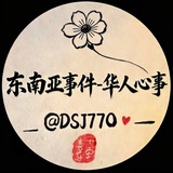 Telegram profile photo for 东南亚事件-华人心事