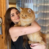 Telegram profile photo for Алина и другие животные