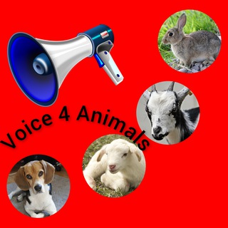 Telegram profile photo for voice4animals