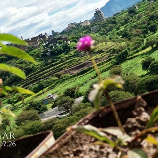 Telegram profile photo for بذررة خير☻☆