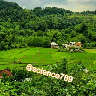 Telegram profile photo for علوم تجربی و تکنولوژی