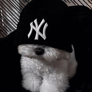 Telegram profile photo for hoika's vouches