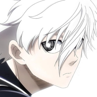 Telegram profile photo for Kai YouTube