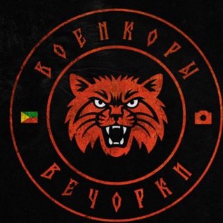 Telegram profile photo for Военкоры вечОРКИ