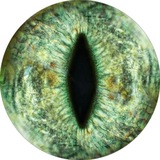Telegram profile photo for Переходник