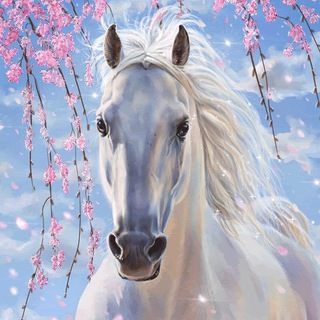 Telegram profile photo for Любимые лошадки