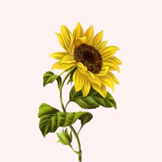 Telegram profile photo for کتێبخانەی ژیانم”♡