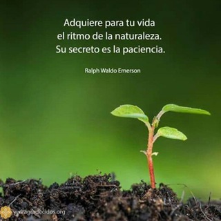 Telegram profile photo for Somos Bio, somos Naturaleza🍀
