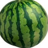 Telegram profile photo for Уход из мк.Собаки топ.