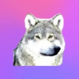 Telegram profile photo for Jj