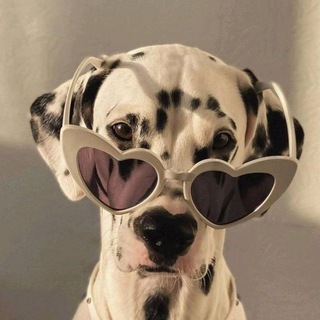 Telegram profile photo for Атмосфера | Шпалери та Музика
