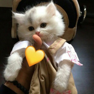 Telegram profile photo for داستٱن ،،סיפור 🐼💙