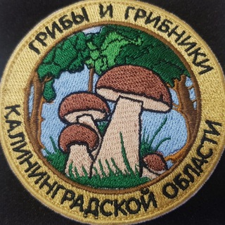 Telegram profile photo for ГРИБНАЯ БАНДА Chat