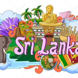 Telegram group profile photo for Хиккадува/Шри-Ланка 🇱🇰Групповые экскурсии