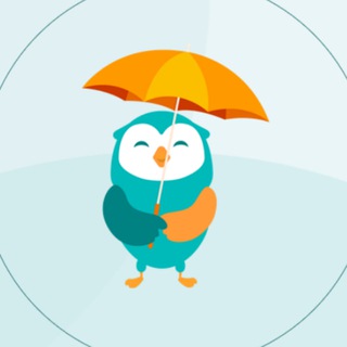 Telegram group profile photo for MoneyOwl Chats 💬🦉