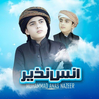 Telegram profile photo for محمد انس نذیر
