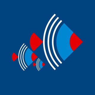 Telegram profile photo for Координаты: школа
