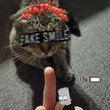 Telegram profile photo for jp2 (кобяков)