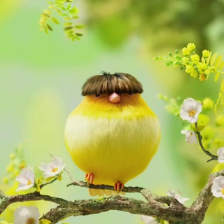 Telegram profile photo for Tech Office New & Anything