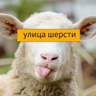 Telegram profile photo for «Улица Шерсти»