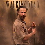 Telegram profile photo for |THE_WALKING_DEAD|.