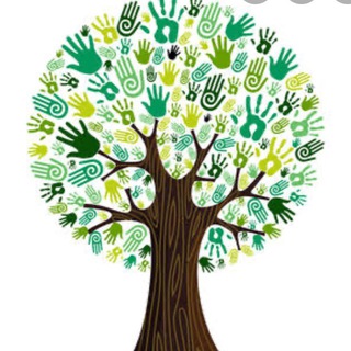 Telegram profile photo for Success Tree