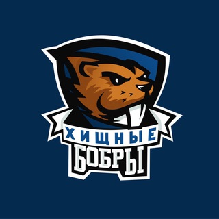 Telegram profile photo for ССК ВГУ «Хищные Бобры»
