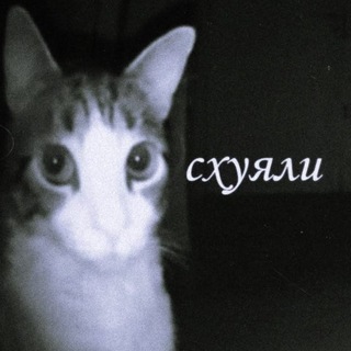 Telegram profile photo for α grεαt δig τrαgεdγ ✶⋆
