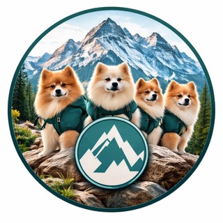 Telegram group profile photo for ЦУГШПИЦЫ 🏔️