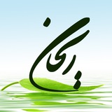 Telegram profile photo for ریحان
