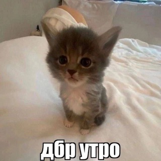 Telegram profile photo for здесь холодно