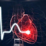 Telegram profile photo for Cardiologie Avec Amin 🫀