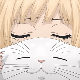 Telegram profile photo for páddkukiry