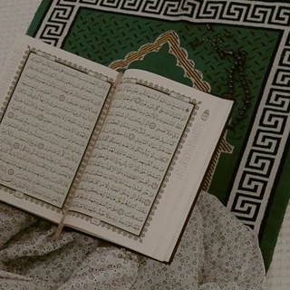 Telegram profile photo for رصيد للجنة 🌿