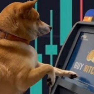 Telegram profile photo for $TOSHI | PORTAL